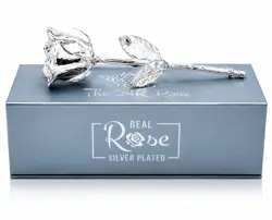 24K Silver Plated Rose - 7" 
