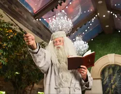 Professor Dumbledore