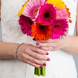 Gerbera Daisy Bouquet