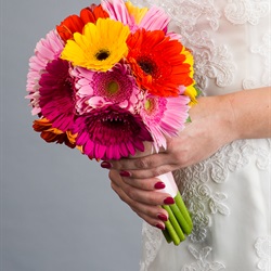 Gerbera Daisy Bouquet