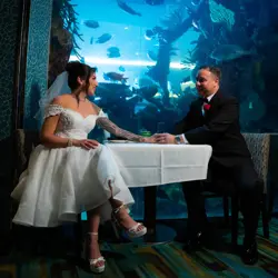 $300 Celebration Dinner Credit  