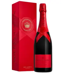 Moet & Chandon Champagne  - Copy