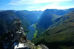 4 x 6 Candid Ceremony Photos